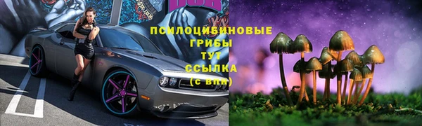 крисы Баксан