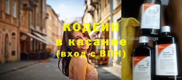 крисы Баксан