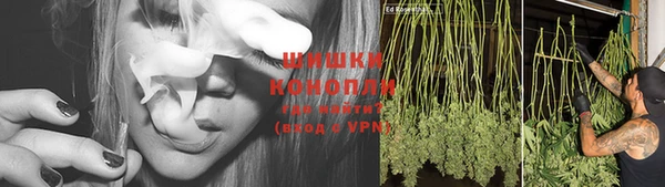 крисы Баксан