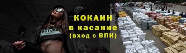 крисы Баксан