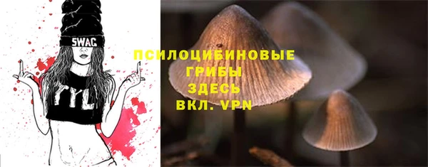 гидра Балахна