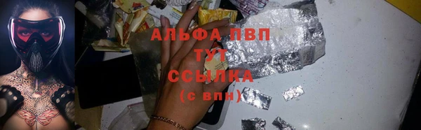 крисы Баксан