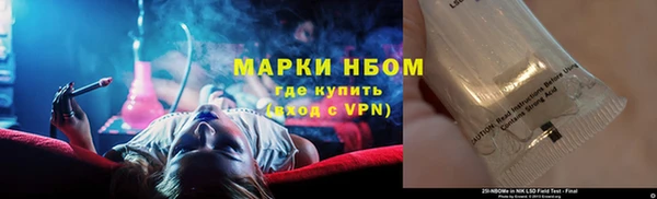 крисы Баксан