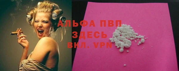 крисы Баксан