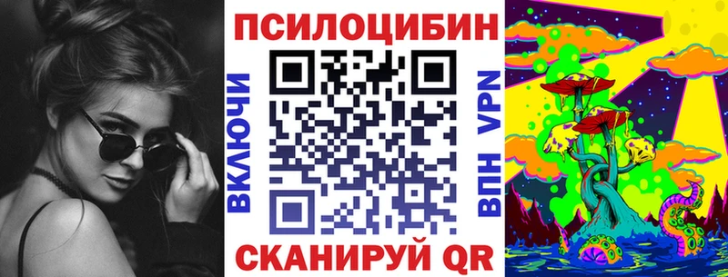 купить наркотик  Салаир  ссылка на мегу ONION  Псилоцибиновые грибы Psilocybe 